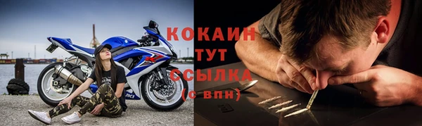 сатива Семёнов