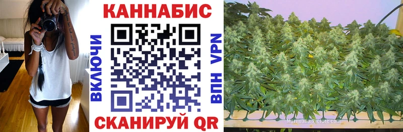 Бошки марихуана AK-47  Кузнецк 